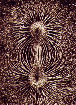 image of dipole magnetic field traced by iron filings